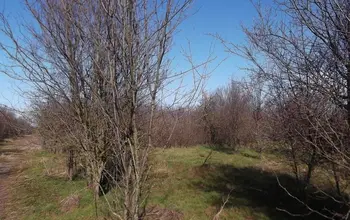 Auction image Land for building