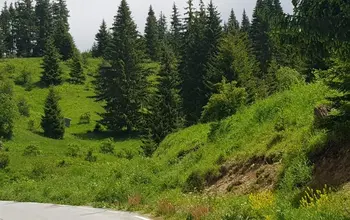 Auction image Land for building