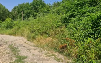 Auction image Land for building