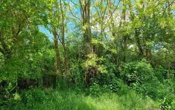 Auction image Land for building