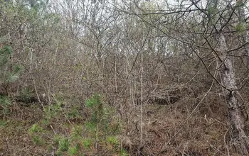 Auction image Land for building