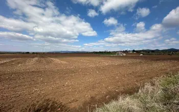 Auction image Farmland