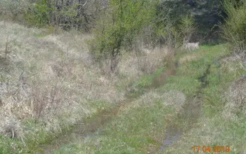 Auction image Farmland