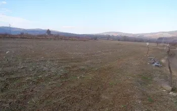 Auction image Farmland