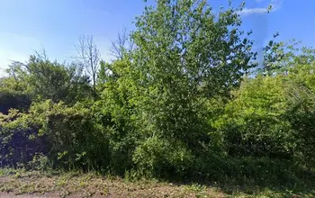 Auction image Farmland
