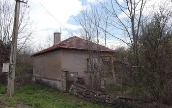 Auction image House