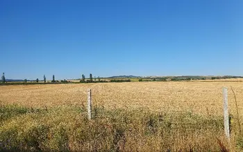 Farmland