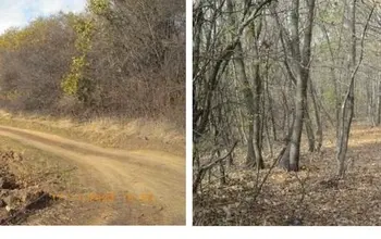 Auction image Land for building