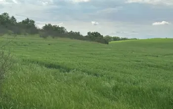 Auction image Farmland