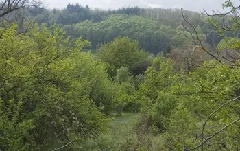 Auction image Land for building