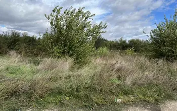 Auction image Land for building