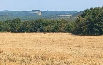 Auction image Farmland