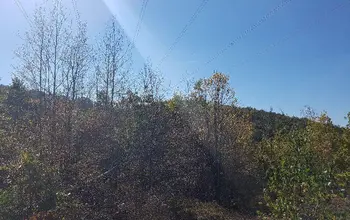 Auction image Land for building
