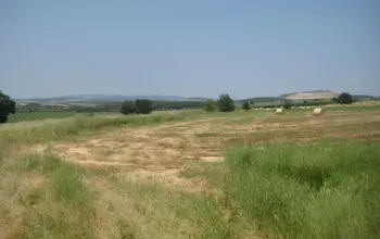 Auction image Farmland