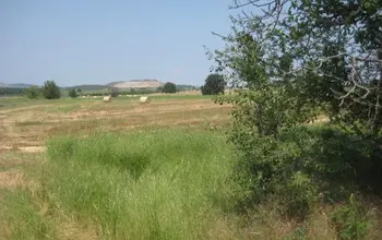 Auction image Farmland
