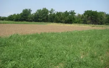 Auction image Farmland