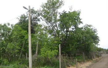 Парцел (ПИ, УПИ, двор)