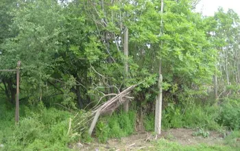 Парцел (ПИ, УПИ, двор)