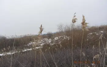 Farmland