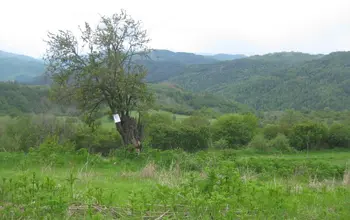 Land for building