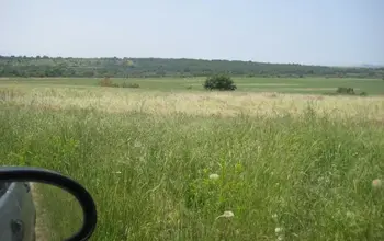 Farmland