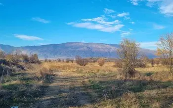 Auction image Farmland
