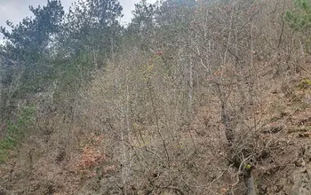 Land for building