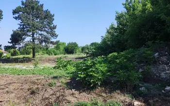 Auction image Land for building