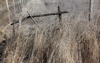 Auction image Парцел (ПИ, УПИ, двор)