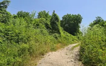 Auction image Парцел (ПИ, УПИ, двор)