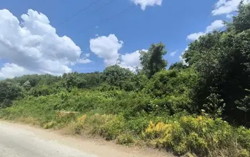 Auction image Land for building