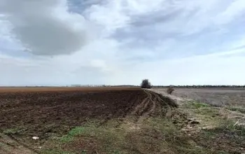 Farmland
