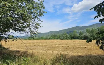 Auction image Земеделска земя/имот, ферма, парник/оранжерия