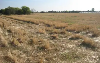Farmland