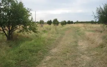 Farmland