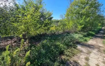 Land for building
