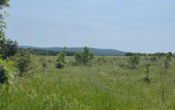 Auction image Land for building