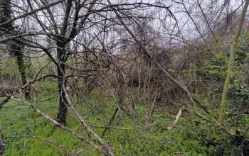 Auction image Къща