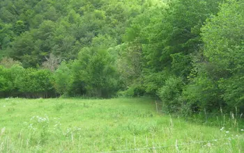 Auction image Farmland