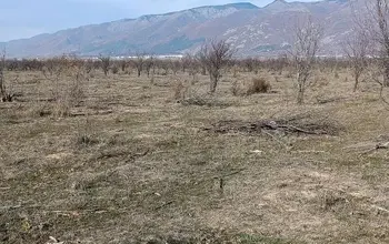 Auction image Земеделска земя/имот, ферма, парник/оранжерия