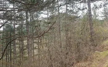 Auction image Land for building