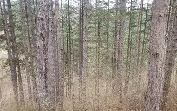 Auction image Farmland