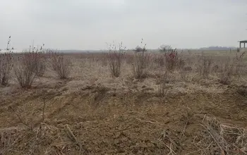 Auction image Земеделска земя/имот, ферма, парник/оранжерия