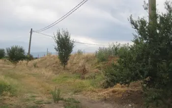 Auction image Земеделска земя/имот, ферма, парник/оранжерия