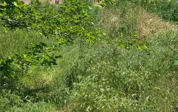 Auction image Други