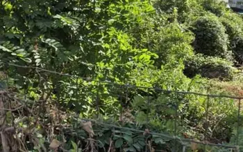 Auction image Land for building