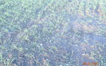 Auction image Земеделска земя/имот, ферма, парник/оранжерия