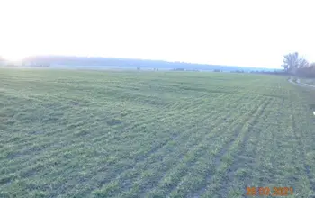 Auction image Земеделска земя/имот, ферма, парник/оранжерия