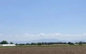 Auction image Farmland