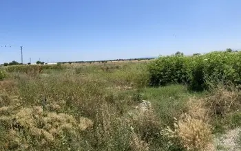 Auction image Farmland